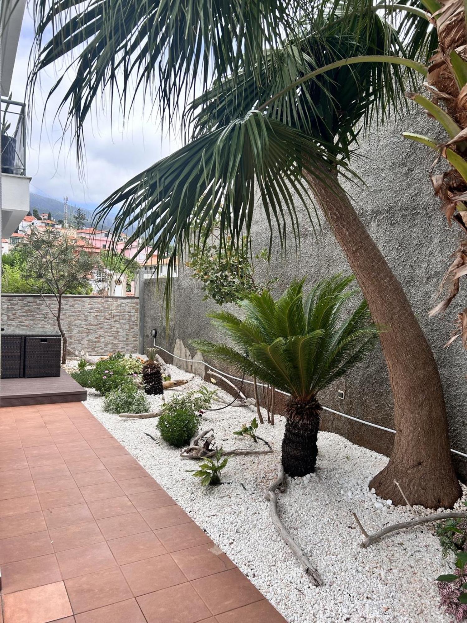 Home To Stay By Madeira Sun Travel Funchal  Kültér fotó